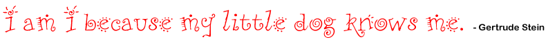 I am I because my little dog knows me. - Gertrude Stein