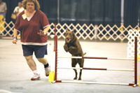 Reliant Agility July '07